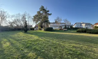Traumhaftes Baugrundstück in Breitenbrunn: 6240m² für Ihre Wohnbauvision!
