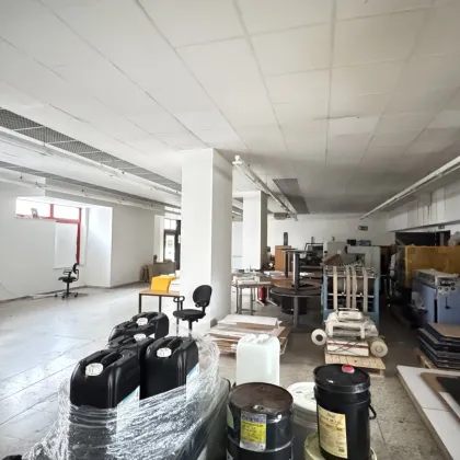 kompakte Gewerbefläche in 1200 Wien - ca. 350m² - Bild 2