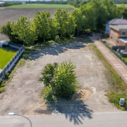 Grundstück A 756m2 in Ruhelage - Schwadorf - Bild 2