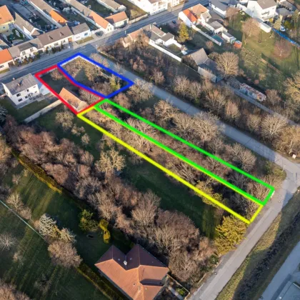 Grundstück in Loimersdorf im schönen Marchfeld - Bild 3