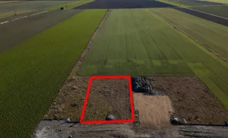 Preisreduziert - Grundstück in Ruhelage