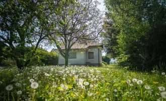 ++ Idyllisches Grundstück mit einfachem, sanierungsbedürftigem Ferienhaus ++