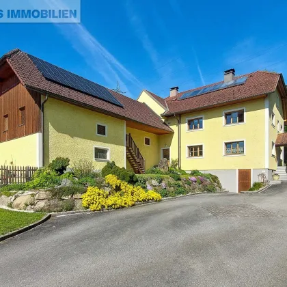 Landliebe | 3,4 ha Nutzgrund | 2 Wohneinheiten - Bild 3