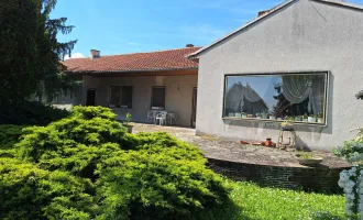 7041 Wulkaprodersdorf sehr interessantes 200m² renovierungsbedürftiger Bungalow auch als zwei Familienhaus geeignet !