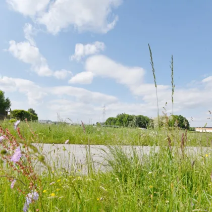 BAUTRÄGER aufgepasst! Baubewilligtes Projekt mit 4 Doppelhaushälften in gefragter Lage! SOFORT loslegen! - Bild 3
