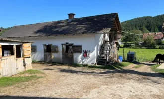 Ihr Paradies auf dem Land: Charmanter Reiterhof in traumhafter Lage!