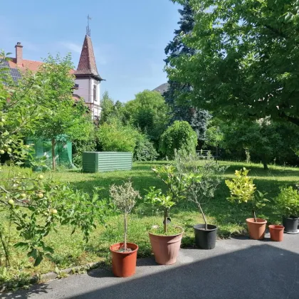 Villa mit schönem Garten in zentraler Lage - Bild 2
