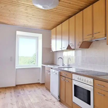 Eine helle Wohnung im Grünen! - Bild 2