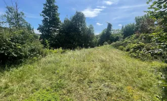 Schöner großer 1.176m² Baugrund in Wölfnitz - Hanglage