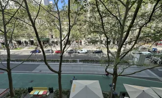 Luxuriöse 9-Zimmer-Wohnung in 1020 Wien – Ihr Traum auf 255 m²!