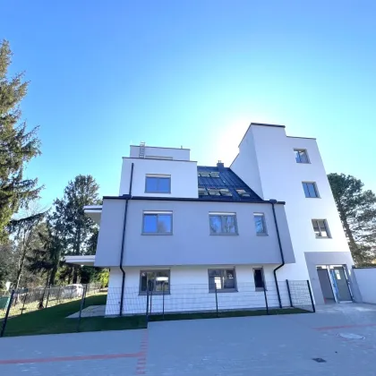 PROVISIONSFREI!! 2 -  ZIMMER WOHNPARADIES MIT BALKON! - Bild 3