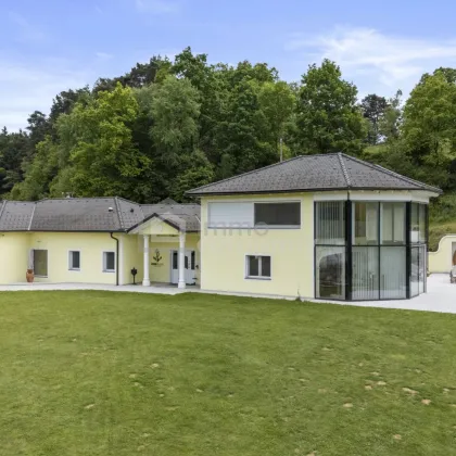 Modernes Wohnparadies in Alleinlage mit Gästehaus, Halle, Weinkeller & mehr – ca. 62.000 m² Grundstück - davon ca. 10.000 m² Bauland!! - Bild 2