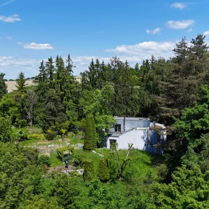 Traumhaftes Baugrundstück in Buchkirchen mit sensationellem Fern- u. Bergblick - Bild 2