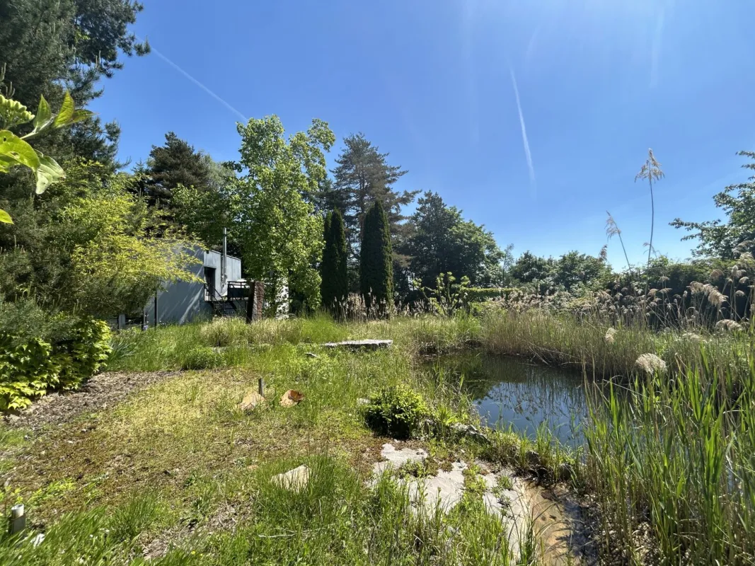 Traumhaftes Baugrundstück in Buchkirchen mit sensationellem Fern- u. Bergblick - Bild 1