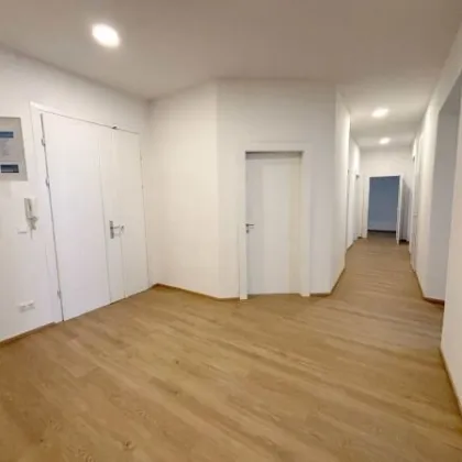 Erstbezug Büro - U1 und U4 - Unbefristete Hauptmiete 219m² - Bild 2