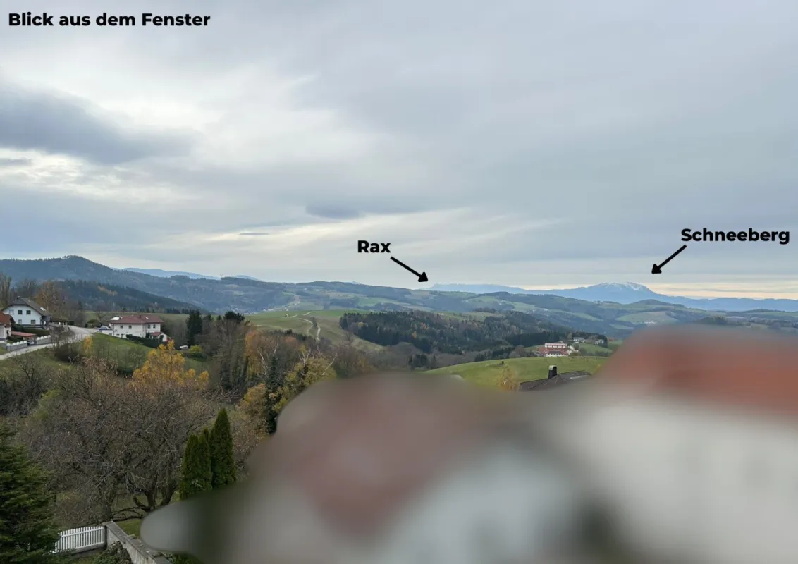 Helle Dachgeschosswohnung zur Miete mit 2 Schlafzimmer in der Buckligen Welt! - Bild 1
