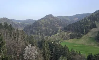 Altes Bauernhaus in Alleinlage!