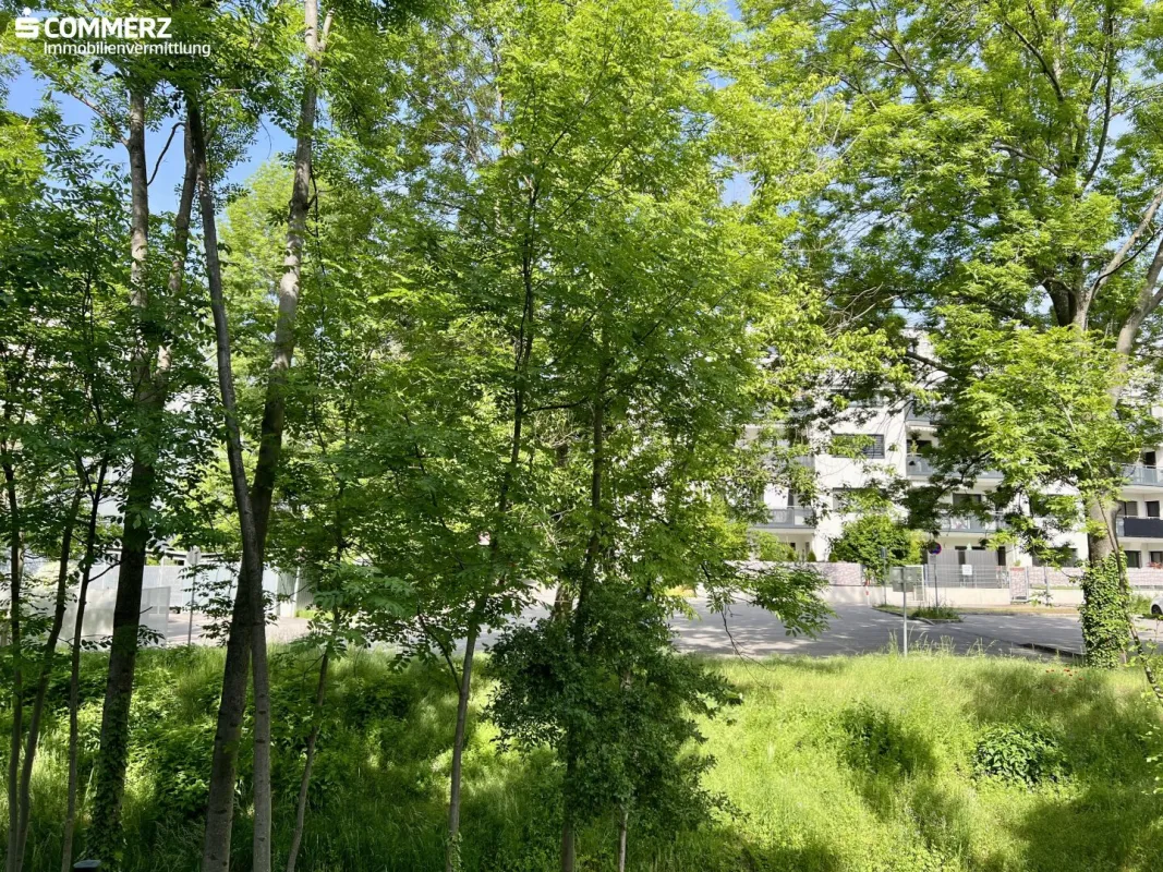 Gartenfreude - Bild 1