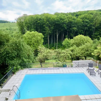 Projektgrundstück mit Aussicht in Weidlingbach // Idealer Grundriss & Dachausbau möglich - Bild 3