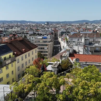 Grüner Dachgarten mit Blick über Wien I Großzügige Fensterflächen inkl. Beschattungen I Klimaanlage I Lift I - Bild 3