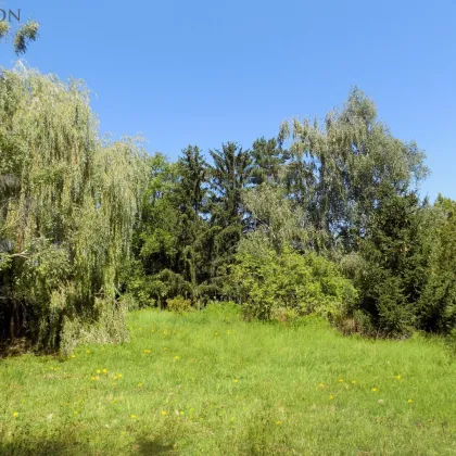 Sonnige Westausrichtung für Ihren zukünftigen Wohntraum - Bild 2