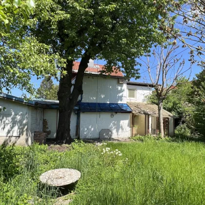 SONNIGES BAUGRUNDSTÜCK IN SALZBURG-LIEFERING - Bild 3