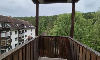 Helle Dachgeschoßwohnung im Grünen - Eisbach Rein!