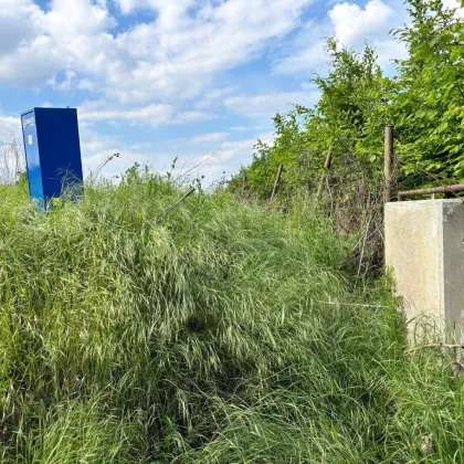 sonniges Baugrundstück in Bad Sauerbrunn - Bild 3