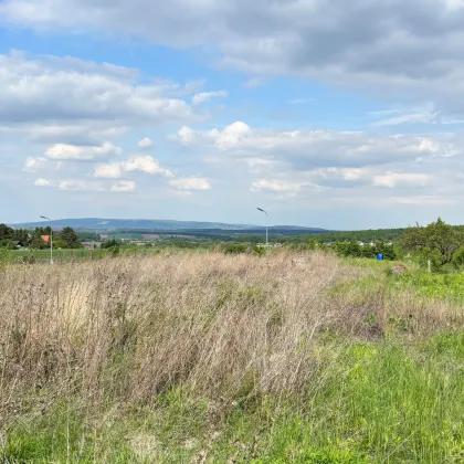 sonniges Baugrundstück in Bad Sauerbrunn - Bild 2