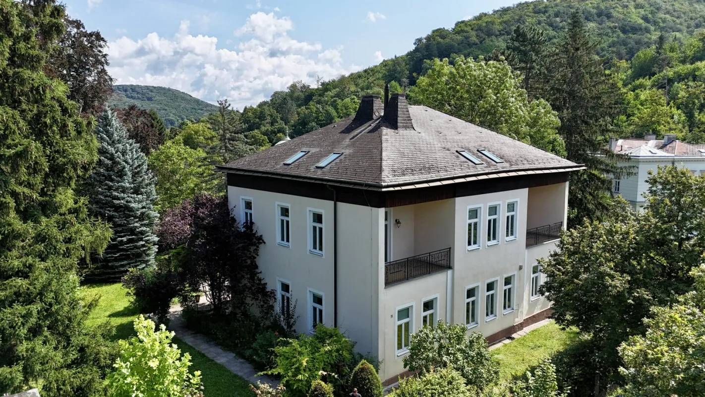 Historische Altbau Villa modern interpretiert | 3 exklusive Wohneinheiten | jetzt noch mitgestalten ! - Bild 1