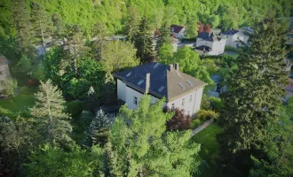 Mitten im Grünen & im Villenviertel: exklusive Gartenwohnung mit ca. 930 m² Außenfläche, beheiztem Wintergarten, Pool, Luftwärmepumpe u.v.m.!