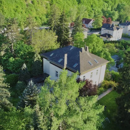 jetzt noch mitgestalten ! Altbau-Charme mit modernem Wohnkomfort in einer exklusiven Gartenwohnung mit 785 m² Außenfläche, beheiztem Wintergarten, Pool, Luftwärmepumpe u.v.m. - Bild 3