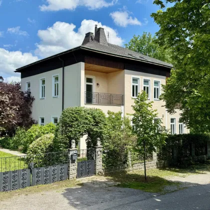 jetzt noch mitgestalten ! Altbau-Charme mit modernem Wohnkomfort in einer exklusiven Gartenwohnung mit 785 m² Außenfläche, beheiztem Wintergarten, Pool, Luftwärmepumpe u.v.m. - Bild 2