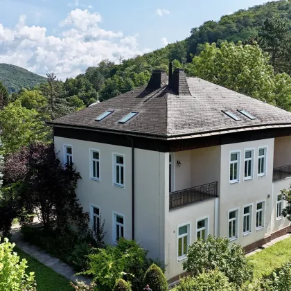 Altbau-Charme und erstklassig saniert | Altbauwohnung mit zwei Loggien & Blick ins Grüne I Lift, Fußbodenheizung, Luftwärmepumpe u.v.m. - Bild 2
