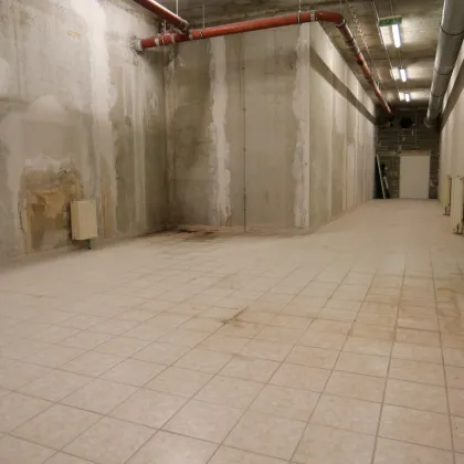 Ebenerdige 91m² Lagerfläche mit Hauszentralheizung Nähe Rautenweg - 1220 Wien - Bild 2