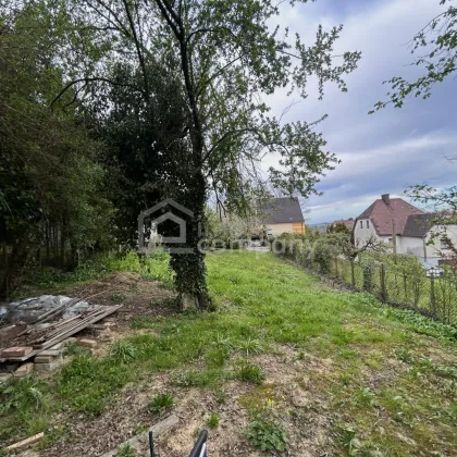 Attraktives Grundstück in Ybbs an der Donau – Ruhige Lage trifft beste Infrastruktur! - Bild 3