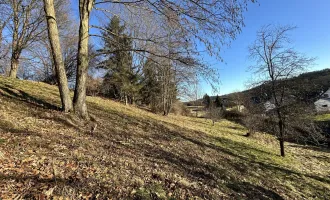 PREISREDUKTION! Baugrund inkl. Bewilligung für Wohnbauprojekt mit 4 Doppelhaushälften! Jetzt Anfragen!