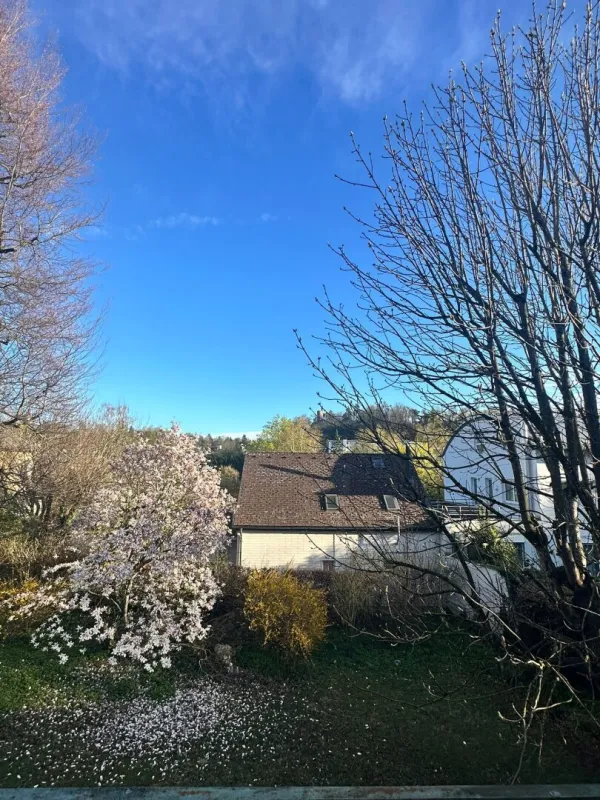 BAUTRÄGERGRUNDSTÜCK in absoluter ZENTRUMSLAGE - REVITALISIERUNG als auch NEUBAU möglich - Bild 1