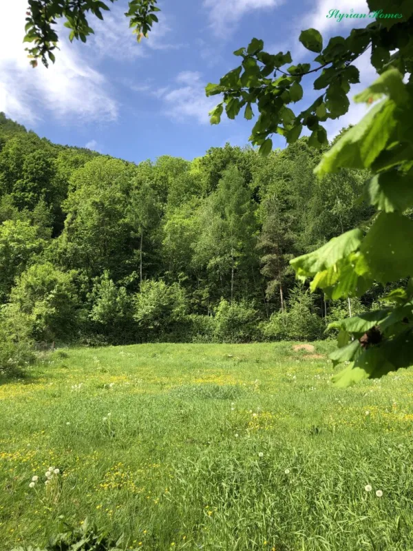 805 m²  Grundstück direkt am RADWEG, aufgeschlossen, SONNENLAGE  8051 GÖSTING - Bild 1