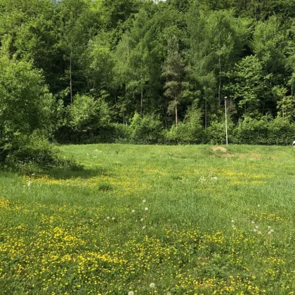 805 m²  Grundstück direkt am RADWEG, aufgeschlossen, SONNENLAGE  8051 GÖSTING - Bild 3