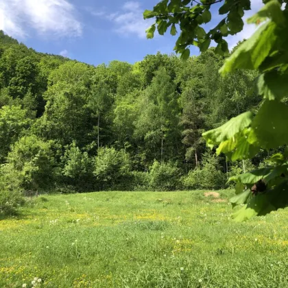 1610 m2  Grundstück aufgeschlossen, in wunderbarer  SONNENLAGE in 8051 GRAZ-GÖSTING - Bild 2