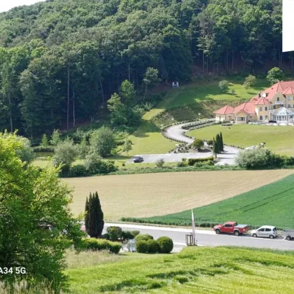 Traumhaftes Grundstücke  für Wohn- und Geschäftsbau in 8380 Henndorf, Burgenland! - Bild 2