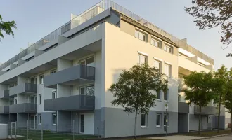 3-Zimmer-Neubauwohnung inkl. Loggia, Komplettküche und Kellerabteil in Wiener Neustadt/ CQ02 Top 4-12