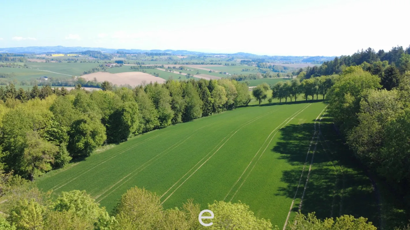 Acker mit 1,4ha in St. Marienkirchen a.d.Polsenz - Bild 1