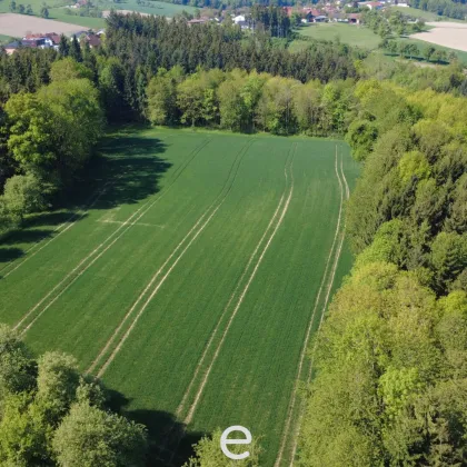 Acker mit 1,4ha in St. Marienkirchen a.d.Polsenz - Bild 2