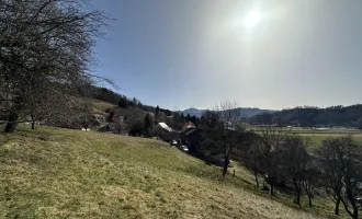 7 Parzellen verfügbar - Tolles Baugrundstück am Sonnenhang in Prenning bei Deutschfeistritz – 3.700 m², aufteilbar in 7 Parzellen