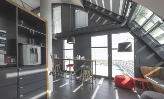 Modernes DG-Büro (Maisonette) mit perfektem Donau-Weitblick ab August 25 im RIVERGATE!