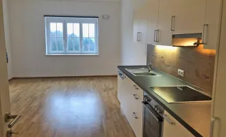 Terrassenwohnung mit 2 Schlafzimmer in der Nähe von St. Margarethen/ Raab ...!