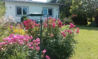 Schöner gepflegter Bungalow in sonniger Lage