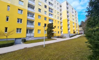 Single Wohnung nähe Doblhoffpark Baden!